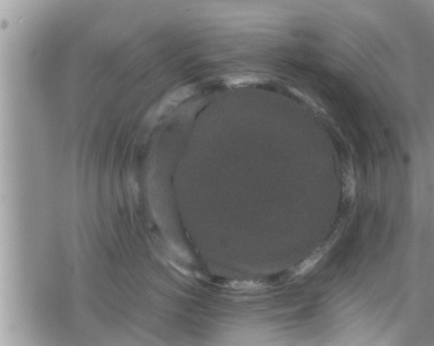 X0000076450766200610161311