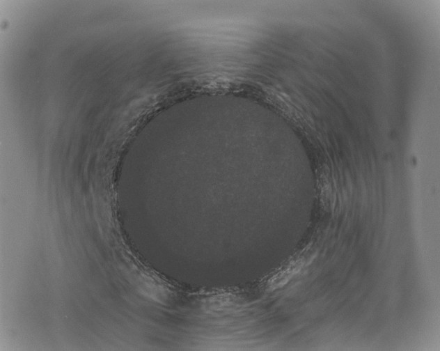 X0000076450769200610161311