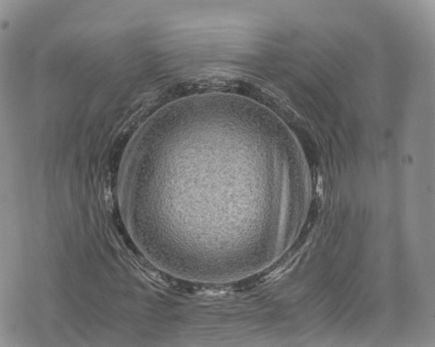 X0000076450771200610161311