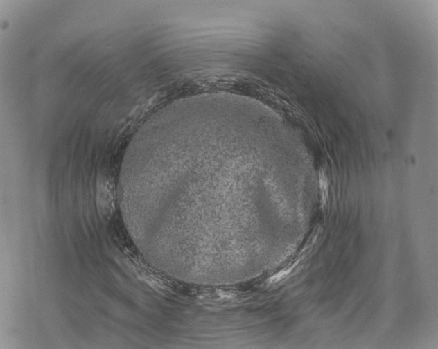 X0000076450772200610161311