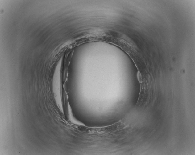 X0000076450773200610161310