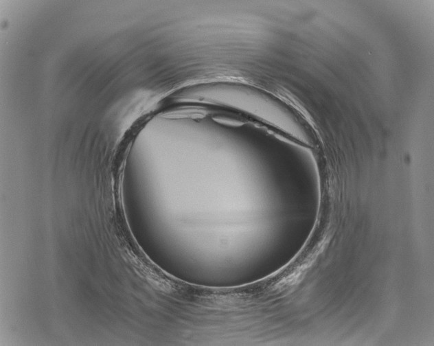 X0000076450781200610161310