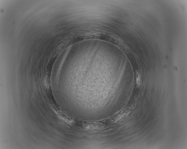 X0000076450819200610161309