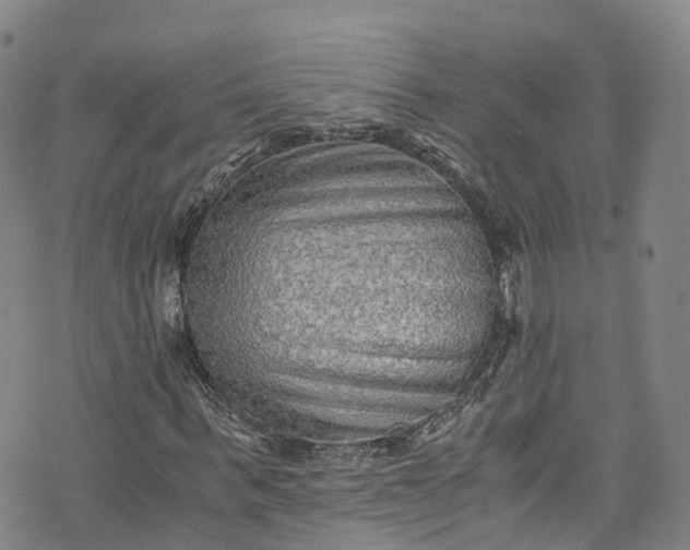 X0000076450963200610161307