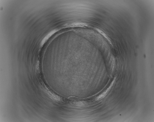 X0000076451066200610161306
