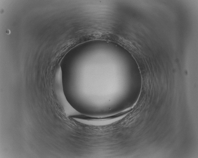 X0000076451105200610161304