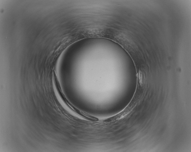 X0000076451107200610161304
