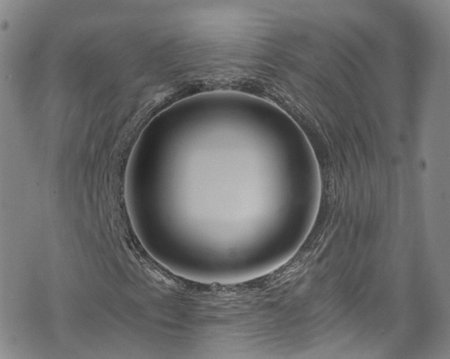 X0000076451153200610161304