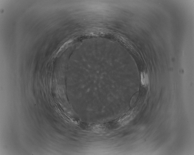 X0000076451155200610161304