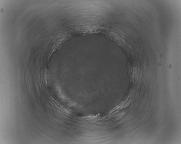 X0000076451202200610161303