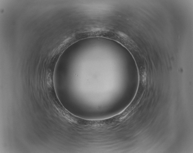 X0000076451204200610161303