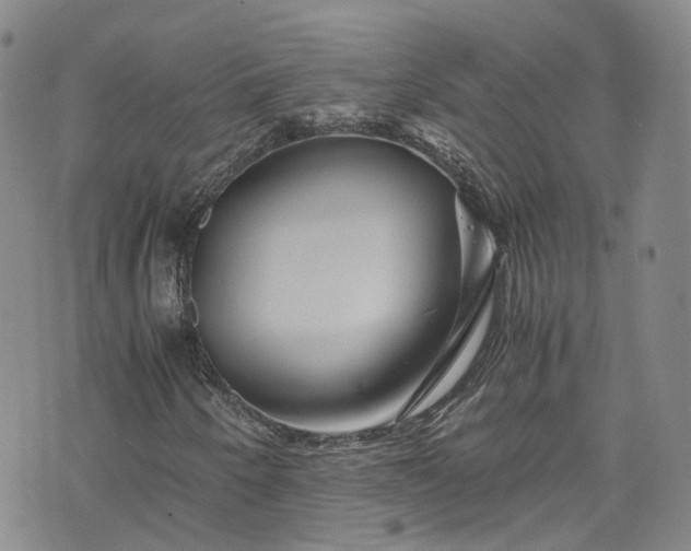 X0000076451250200610161303