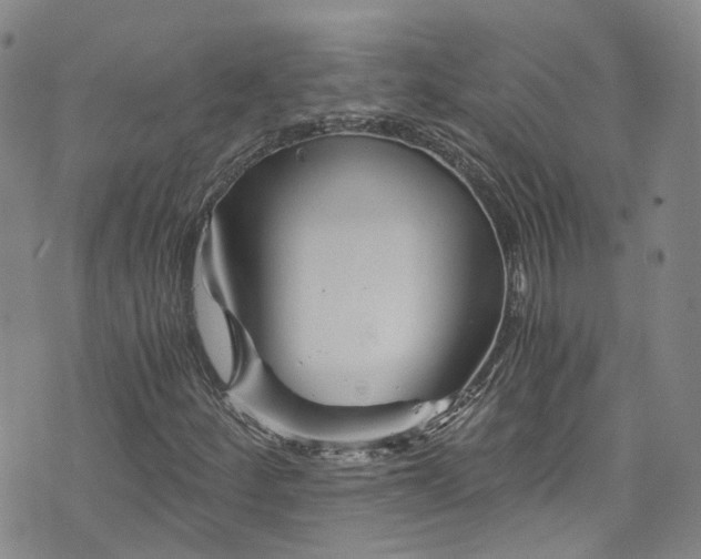 X0000076451252200610161303