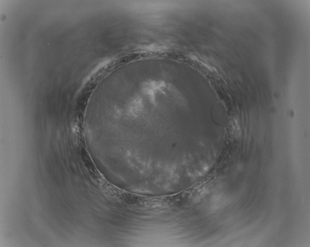 X0000076451254200610161303