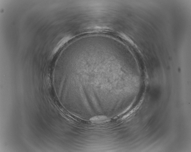X0000076451259200610161303