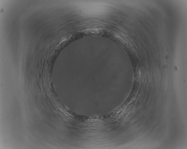 X0000076451297200610161301