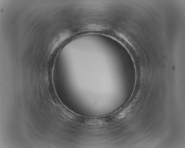 X0000076451307200610161301
