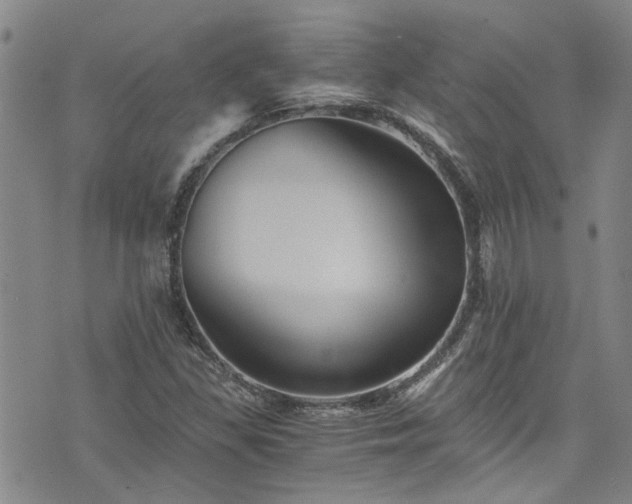 X0000076451309200610161301