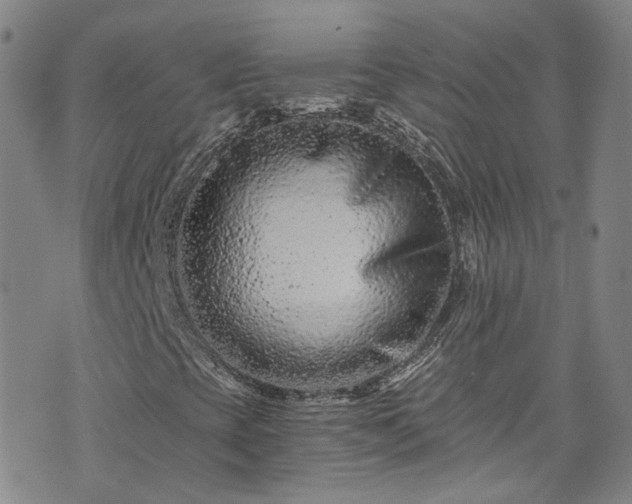 X0000076451393200610161300