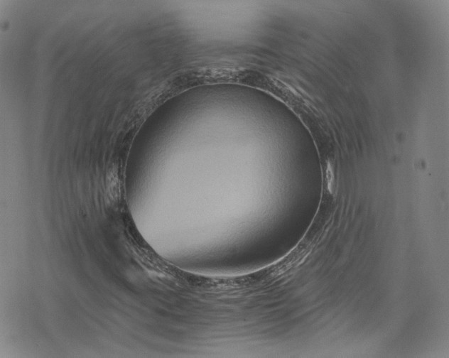X0000076451395200610161300
