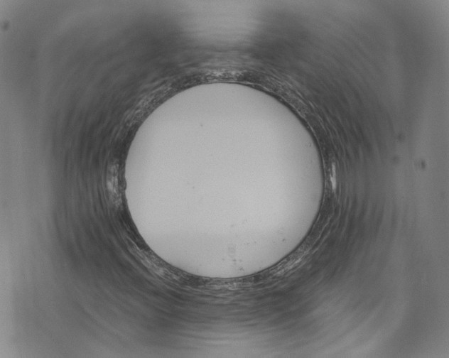X0000076451396200610161300