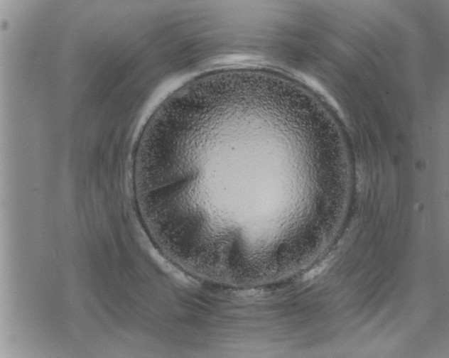 X0000076451421200610161300