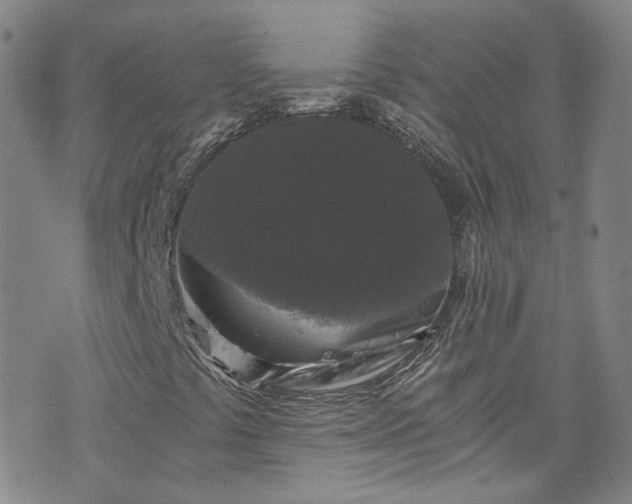 X0000076451441200610161300