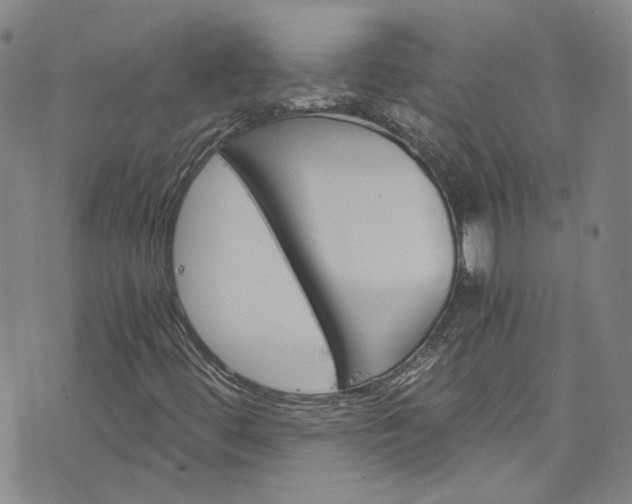 X0000076451444200610161259