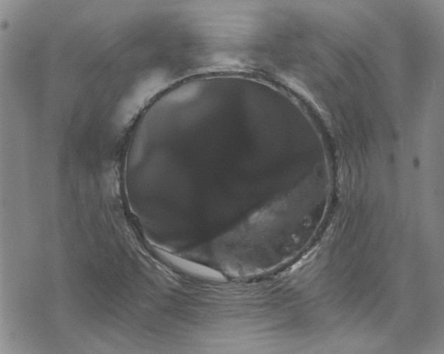 X0000076451455200610161259