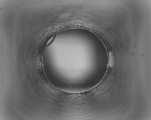 X0000076451491200610161258