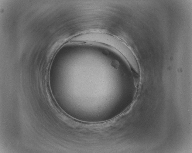 X0000076450001200610202346