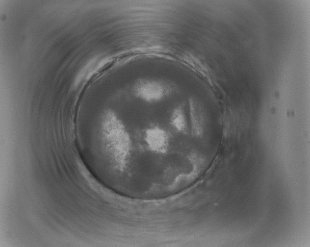 X0000076450002200610202346