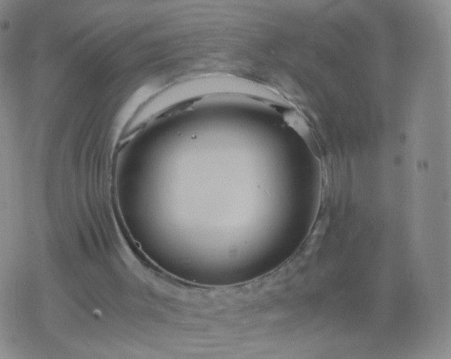 X0000076450003200610202346