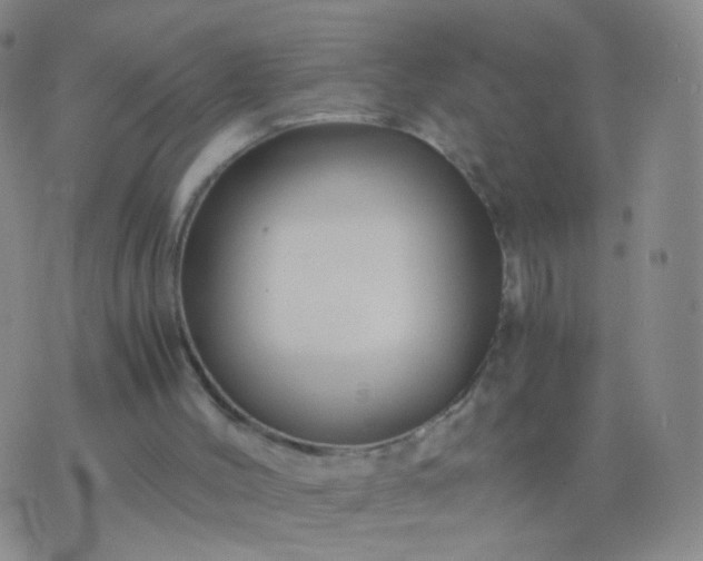 X0000076450004200610202346