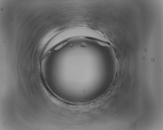 X0000076450005200610202346