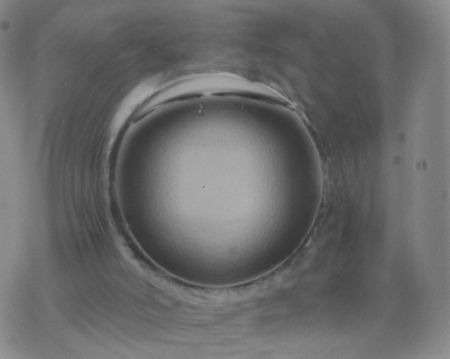 X0000076450006200610202346