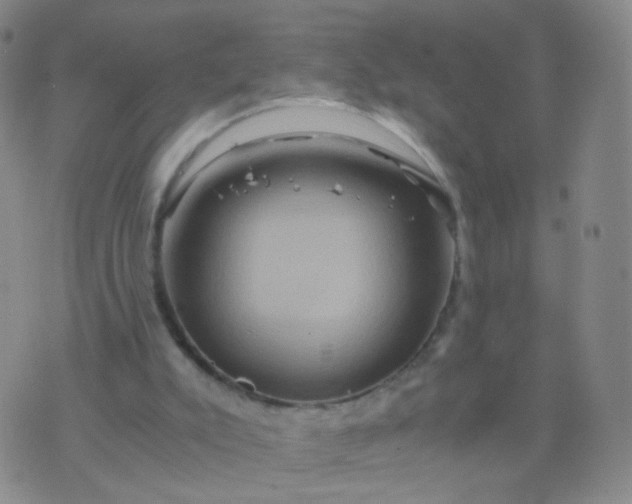 X0000076450007200610202346