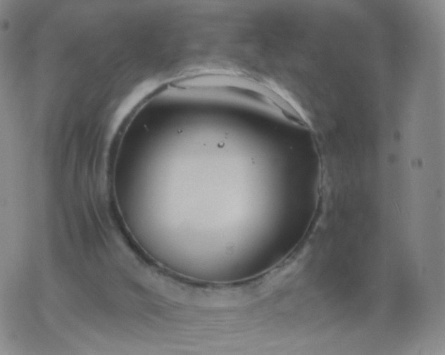 X0000076450008200610202346