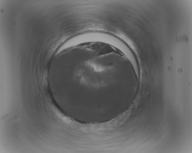 X0000076450009200610202346