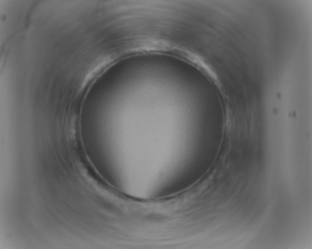 X0000076450010200610202346