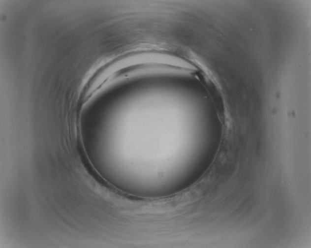 X0000076450011200610202346