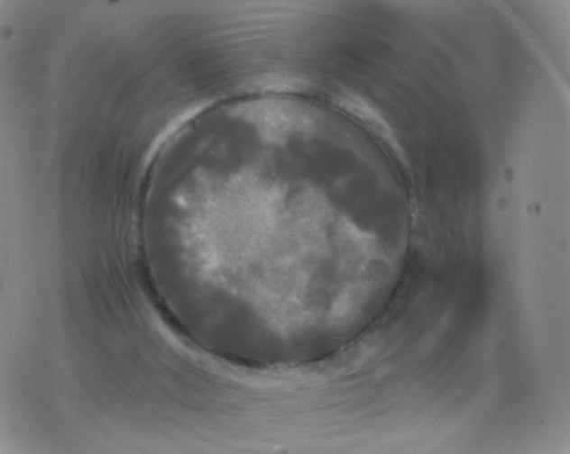 X0000076450012200610202346