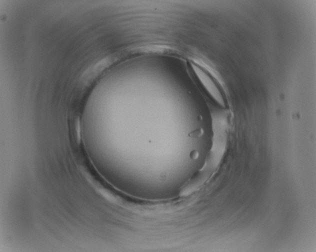 X0000076450013200610202346