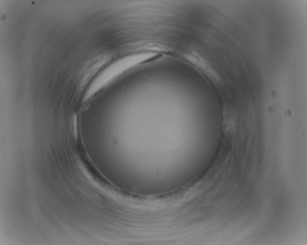 X0000076450014200610202346