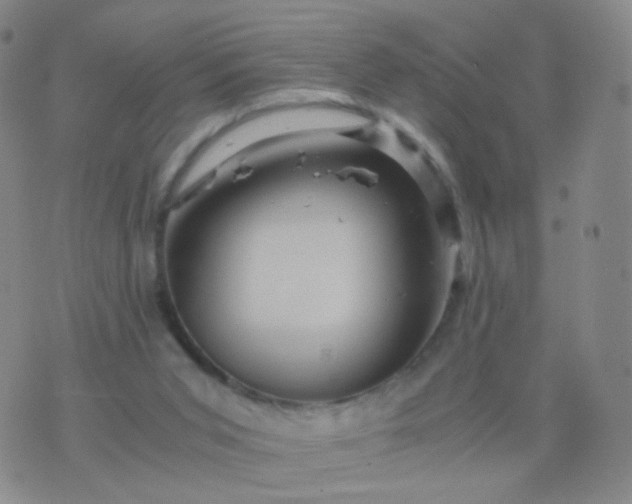 X0000076450015200610202346