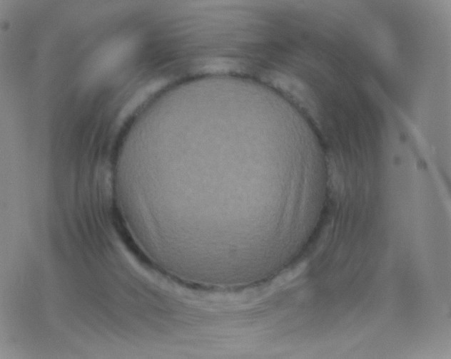 X0000076450016200610202346