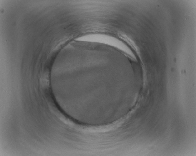 X0000076450017200610202346