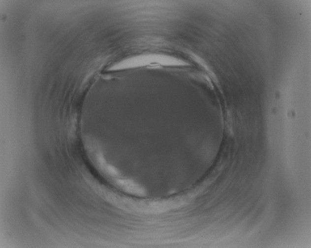 X0000076450018200610202346