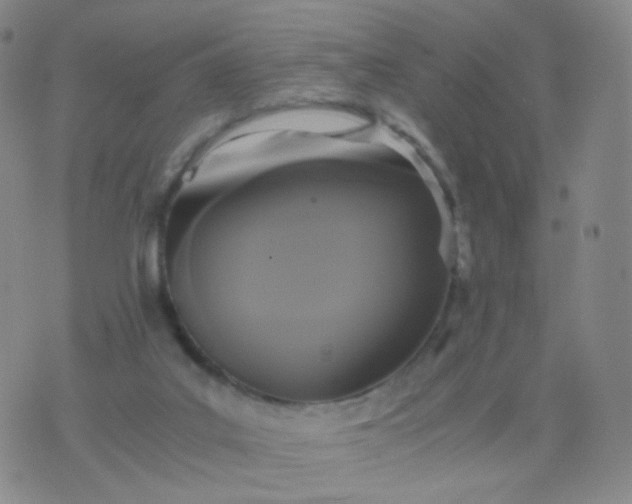 X0000076450019200610202346