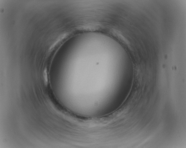 X0000076450020200610202346